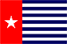 Айриан Джайа. Государственный флаг