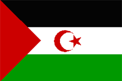 Западная Сахара. Государственный флаг